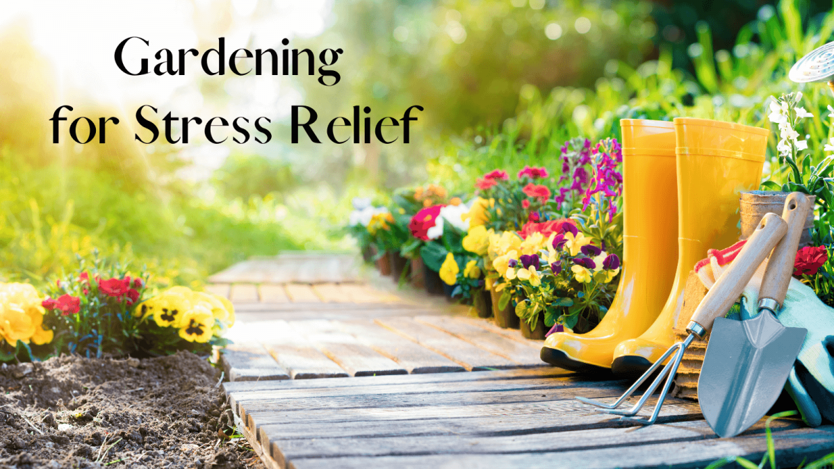 Gardening For Stress Reduction And Mental Health Prevent Substance Misuse Gardening For Stress Reduction And Mental Health Prevent Substance Misuse